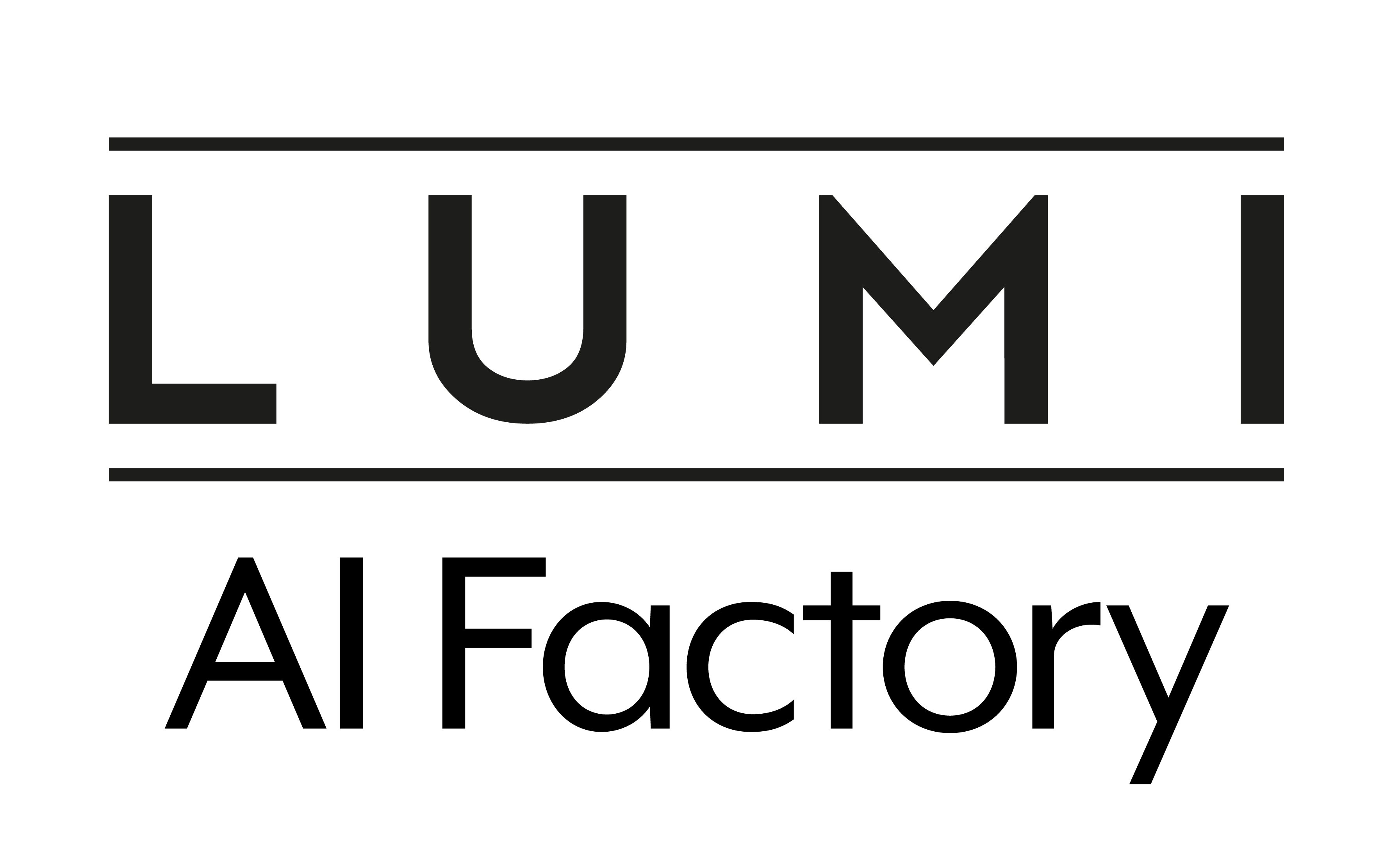LUMI AI Factory